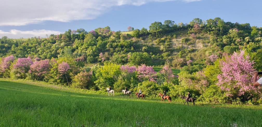 ホテル 3 Hills Boutique - The Ranch Experience Trilofos エクステリア 写真